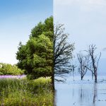 wpływ zmian klimatycznych